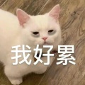 我想吃烤肉的头像