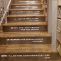 书友1194234729的头像