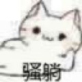 书友2038968143的头像