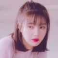 书友778565443的头像
