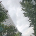 悠然的头像