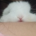 书友的头像
