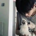 犹豫純情霸主的头像