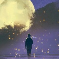 沐眠的头像