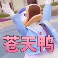 桂林山水的头像