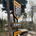 自在独行的头像