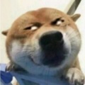 书中自有个锤子的头像