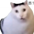 娇气的金丝猴在摇晃酒杯的头像