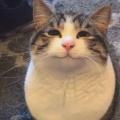 书友1609475233的头像