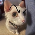 钱钱770037320的头像
