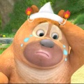 YDYJQA的头像