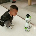 避风港的头像