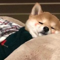 我没有超能力的头像