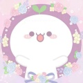 SofiaZheng的头像