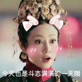 77宝贝的头像