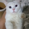 不能饿肚子啊的头像