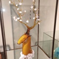 孤独寻觅的头像
