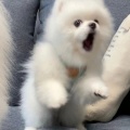 书友1933145596的头像