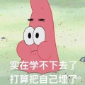 可怜的高中生一枚的头像