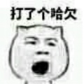 奶茶没有奶的头像