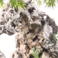 遮风挡雨不兮的头像