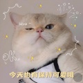 书友 3184040179的头像