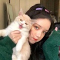 徐灿的头像