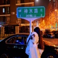 敏捷的梅花鹿在巡山的头像