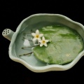 小波no1的头像