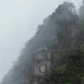 霜绝的头像