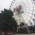 书友929531422的头像