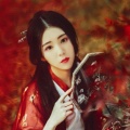 会飞的李李的头像