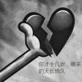 书友1331463680的头像