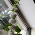 熊熊的头像