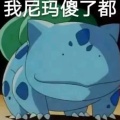 书虫的头像