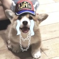 快乐小样的头像