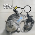 Lee宝儿的头像