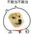 书友932538705的头像