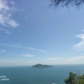 静待花开的头像