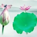 彼岸花的头像