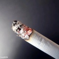香烟燃尽终是灰的头像