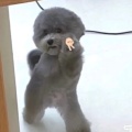 书友 3475923845的头像
