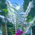 雨落成河的头像