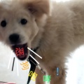 幻小贤的头像