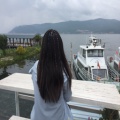 柔情锶水的头像