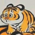 稽伯利亚大尾巴狼的头像