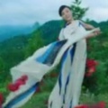 无泪军魂的头像