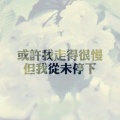 耿公子的头像