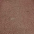 晴天太阳的头像