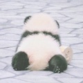 温柔皆许意中人的头像